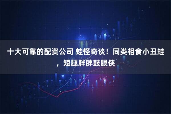十大可靠的配资公司 蛙怪奇谈！同类相食小丑蛙，短腿胖胖鼓眼侠