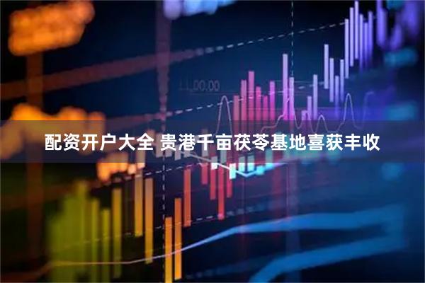 配资开户大全 贵港千亩茯苓基地喜获丰收