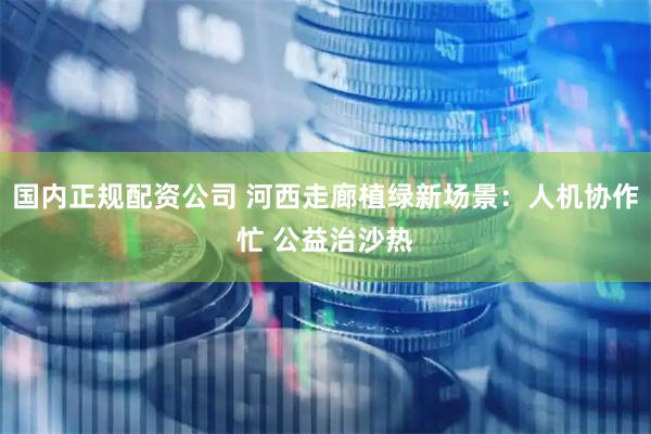 国内正规配资公司 河西走廊植绿新场景：人机协作忙 公益治沙热