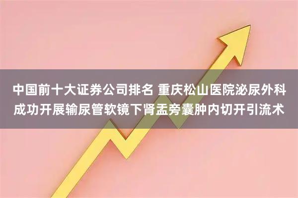 中国前十大证券公司排名 重庆松山医院泌尿外科成功开展输尿管软镜下肾盂旁囊肿内切开引流术