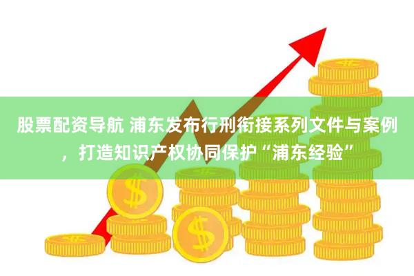 股票配资导航 浦东发布行刑衔接系列文件与案例，打造知识产权协同保护“浦东经验”